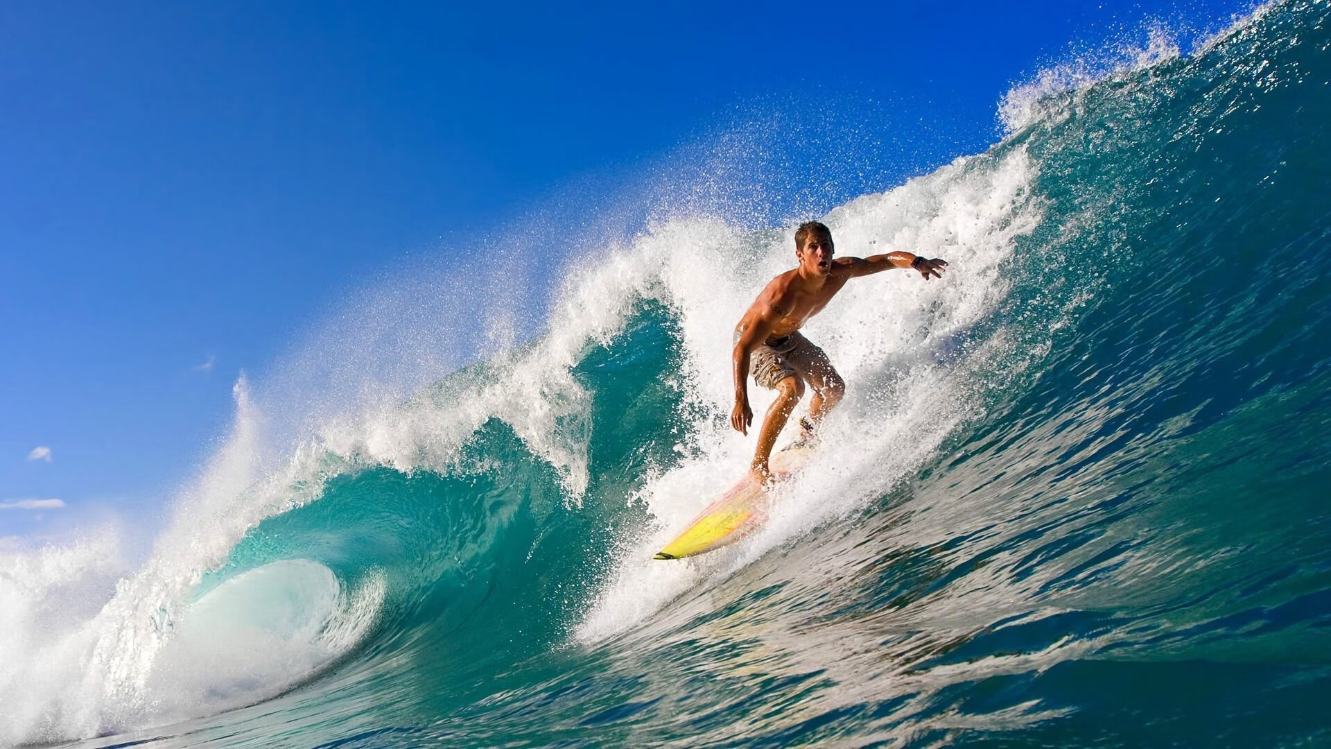 双重奏,莫兰特与欧冠赛场的午夜共鸣